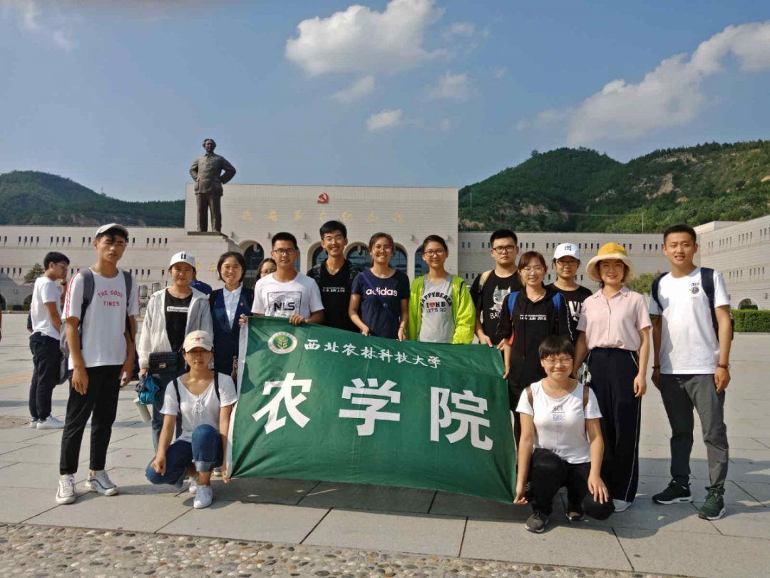 救援甜蜜熊